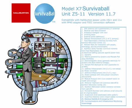 surviva-ball-crosssection.jpg