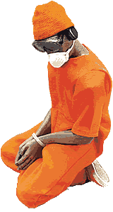 kessler_orange.gif